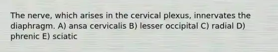 The nerve, which arises in the cervical plexus, innervates the diaphragm. A) ansa cervicalis B) lesser occipital C) radial D) phrenic E) sciatic