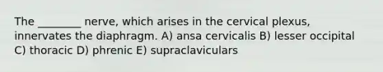 The ________ nerve, which arises in the cervical plexus, innervates the diaphragm. A) ansa cervicalis B) lesser occipital C) thoracic D) phrenic E) supraclaviculars