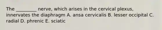 The _________ nerve, which arises in the cervical plexus, innervates the diaphragm A. ansa cervicalis B. lesser occipital C. radial D. phrenic E. sciatic