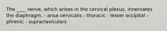 The ____ nerve, which arises in the cervical plexus, innervates the diaphragm. - ansa cervicalis - thoracic - lesser occipital - phrenic - supraclaviculars