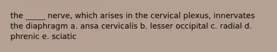 the _____ nerve, which arises in the cervical plexus, innervates the diaphragm a. ansa cervicalis b. lesser occipital c. radial d. phrenic e. sciatic