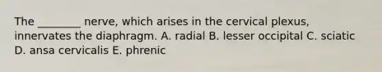 The ________ nerve, which arises in the cervical plexus, innervates the diaphragm. A. radial B. lesser occipital C. sciatic D. ansa cervicalis E. phrenic