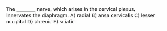 The ________ nerve, which arises in the cervical plexus, innervates the diaphragm. A) radial B) ansa cervicalis C) lesser occipital D) phrenic E) sciatic