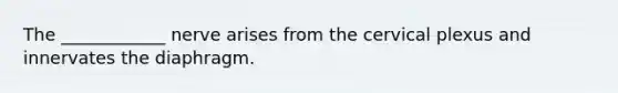 The ____________ nerve arises from the cervical plexus and innervates the diaphragm.