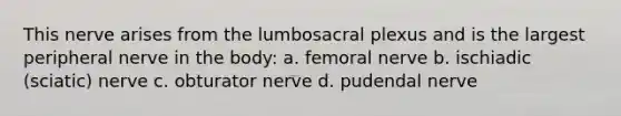 This nerve arises from the lumbosacral plexus and is the largest peripheral nerve in the body: a. femoral nerve b. ischiadic (sciatic) nerve c. obturator nerve d. pudendal nerve