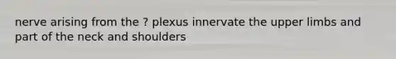 nerve arising from the ? plexus innervate the upper limbs and part of the neck and shoulders