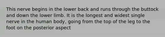 This nerve begins in the lower back and runs through the buttock and down the lower limb. It is the longest and widest single nerve in the human body, going from the top of the leg to the foot on the posterior aspect