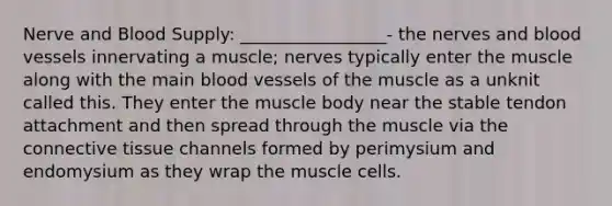 Nerve and Blood Supply: _________________- the nerves and blood vessels innervating a muscle; nerves typically enter the muscle along with the main blood vessels of the muscle as a unknit called this. They enter the muscle body near the stable tendon attachment and then spread through the muscle via the connective tissue channels formed by perimysium and endomysium as they wrap the muscle cells.