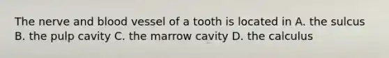 The nerve and blood vessel of a tooth is located in A. the sulcus B. the pulp cavity C. the marrow cavity D. the calculus