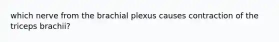 which nerve from the brachial plexus causes contraction of the triceps brachii?