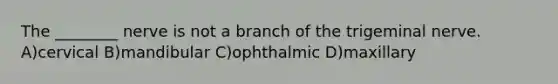 The ________ nerve is not a branch of the trigeminal nerve. A)cervical B)mandibular C)ophthalmic D)maxillary