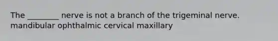 The ________ nerve is not a branch of the trigeminal nerve. mandibular ophthalmic cervical maxillary