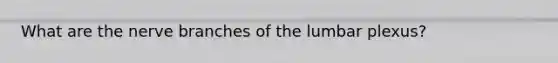 What are the nerve branches of the lumbar plexus?