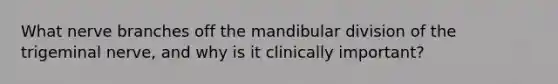 What nerve branches off the mandibular division of the trigeminal nerve, and why is it clinically important?