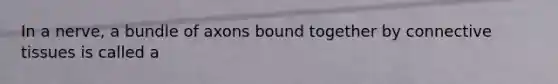 In a nerve, a bundle of axons bound together by connective tissues is called a