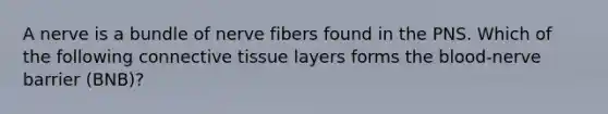 A nerve is a bundle of nerve fibers found in the PNS. Which of the following connective tissue layers forms the blood-nerve barrier (BNB)?