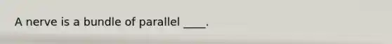 A nerve is a bundle of parallel ____.