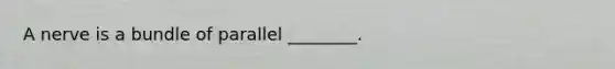 A nerve is a bundle of parallel ________.