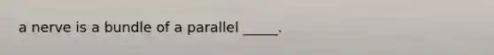 a nerve is a bundle of a parallel _____.