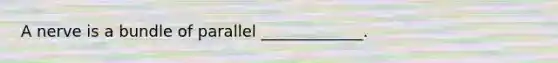 A nerve is a bundle of parallel _____________.