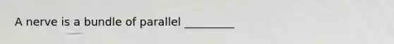 A nerve is a bundle of parallel _________