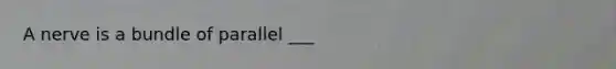 A nerve is a bundle of parallel ___