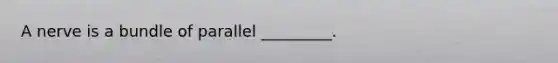 A nerve is a bundle of parallel _________.