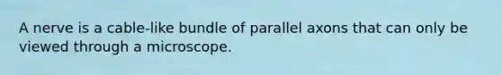 A nerve is a cable-like bundle of parallel axons that can only be viewed through a microscope.