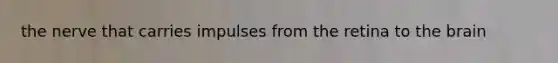 the nerve that carries impulses from the retina to the brain