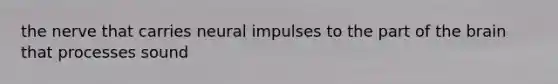 the nerve that carries neural impulses to the part of the brain that processes sound