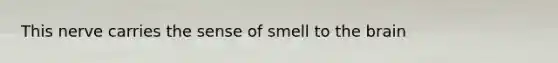 This nerve carries the sense of smell to the brain