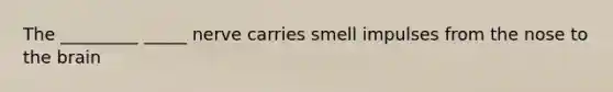 The _________ _____ nerve carries smell impulses from the nose to the brain