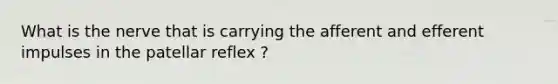 What is the nerve that is carrying the afferent and efferent impulses in the patellar reflex ?