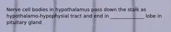 Nerve cell bodies in hypothalamus pass down the stalk as hypothalamo-hypophysial tract and end in ______________ lobe in pituitary gland