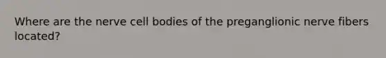 Where are the nerve cell bodies of the preganglionic nerve fibers located?