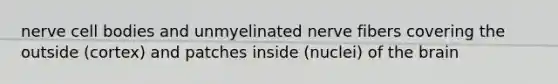 nerve cell bodies and unmyelinated nerve fibers covering the outside (cortex) and patches inside (nuclei) of the brain
