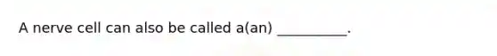 A nerve cell can also be called a(an) __________.