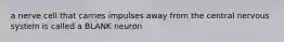 a nerve cell that carries impulses away from the central nervous system is called a BLANK neuron