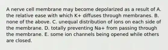 A nerve cell membrane may become depolarized as a result of A. the relative ease with which K+ diffuses through membranes. B. none of the above. C. unequal distribution of ions on each side of the membrane. D. totally preventing Na+ from passing through the membrane. E. some ion channels being opened while others are closed.