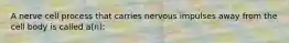 A nerve cell process that carries nervous impulses away from the cell body is called a(n):