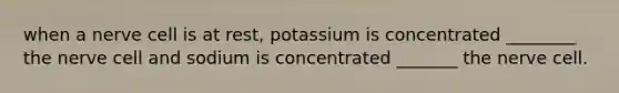 when a nerve cell is at rest, potassium is concentrated ________ the nerve cell and sodium is concentrated _______ the nerve cell.