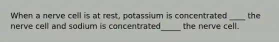 When a nerve cell is at rest, potassium is concentrated ____ the nerve cell and sodium is concentrated_____ the nerve cell.