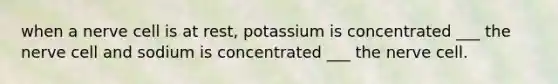 when a nerve cell is at rest, potassium is concentrated ___ the nerve cell and sodium is concentrated ___ the nerve cell.