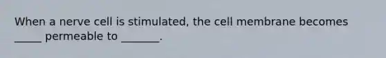 When a nerve cell is stimulated, the cell membrane becomes _____ permeable to _______.