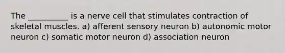 The __________ is a nerve cell that stimulates contraction of skeletal muscles. a) afferent sensory neuron b) autonomic motor neuron c) somatic motor neuron d) association neuron