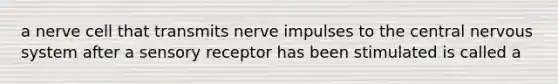 a nerve cell that transmits nerve impulses to the central nervous system after a sensory receptor has been stimulated is called a