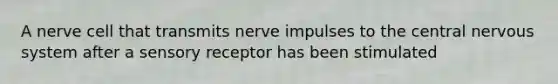 A nerve cell that transmits nerve impulses to the central nervous system after a sensory receptor has been stimulated