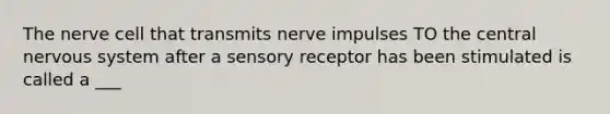 The nerve cell that transmits nerve impulses TO the central nervous system after a sensory receptor has been stimulated is called a ___