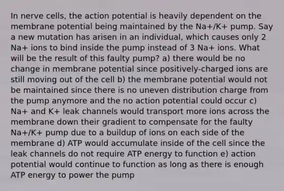 In nerve cells, the action potential is heavily dependent on the membrane potential being maintained by the Na+/K+ pump. Say a new mutation has arisen in an individual, which causes only 2 Na+ ions to bind inside the pump instead of 3 Na+ ions. What will be the result of this faulty pump? a) there would be no change in membrane potential since positively-charged ions are still moving out of the cell b) the membrane potential would not be maintained since there is no uneven distribution charge from the pump anymore and the no action potential could occur c) Na+ and K+ leak channels would transport more ions across the membrane down their gradient to compensate for the faulty Na+/K+ pump due to a buildup of ions on each side of the membrane d) ATP would accumulate inside of the cell since the leak channels do not require ATP energy to function e) action potential would continue to function as long as there is enough ATP energy to power the pump