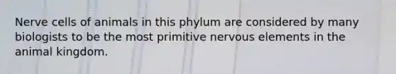 Nerve cells of animals in this phylum are considered by many biologists to be the most primitive nervous elements in the animal kingdom.